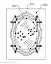 Fig. 01 - Dataset creation for tracking targets with dynamically changing portions