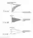 Fig. 08 - Movement detection apparatus and movement detection method