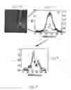 Fig. 04 - METHOD AND SYSTEM FOR CHARACTERIZING A SAMPLE BY IMAGING FLUORESCENCE MICROSCOPY