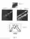 Fig. 05 - METHOD AND SYSTEM FOR CHARACTERIZING A SAMPLE BY IMAGING FLUORESCENCE MICROSCOPY