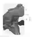 Fig. 07 - Method and computer for aiding determination of obstructive sleep apnea