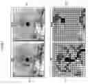 Fig. 05 - Medical image processing and registration system