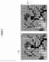 Fig. 06 - Medical image processing and registration system