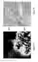 Fig. 09 - Method and system for determining the quality of pharmaceutical products