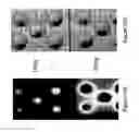 Fig. 14 - Method and system for determining the quality of pharmaceutical products