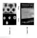 Fig. 15 - Method and system for determining the quality of pharmaceutical products
