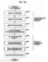 Fig. 33 - Detection apparatus, detection method, and computer program