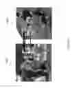 Fig. 07 - Processing image data