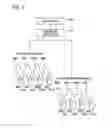 Fig. 03 - Image forming apparatus which can suppress a reverse transfer when executing monochrome printing
