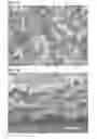 Fig. 02 - Web comprising fine fiber and reactive, adsorptive or absorptive particulate