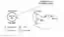 Fig. 01 - Methods and Compositions for Using Bleomycin-Derivatized Microbubbles