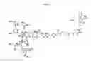Fig. 02 - Methods and Compositions for Using Bleomycin-Derivatized Microbubbles