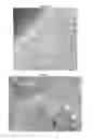 Fig. 04 - Methods and Compositions for Using Bleomycin-Derivatized Microbubbles