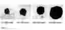 Fig. 02 - INCREASING THE PLASTICITY OF STEM CELLS
