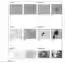 Fig. 08 - INCREASING THE PLASTICITY OF STEM CELLS