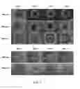 Fig. 06 - METHOD AND APPARATUS FOR CULTURING TISSUE