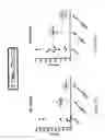 Fig. 06 - Hematopoietic stem cell growth factor