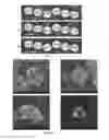 Fig. 09 - Composition