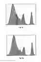 Fig. 06 - Method to produce an immunoglobulin preparation with improved yield