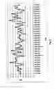 Fig. 07 - Method to produce an immunoglobulin preparation with improved yield
