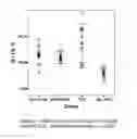 Fig. 08 - COMPOSITION AND METHOD FOR TREATMENT OF REPERFUSION INJURY AND TISSUE DAMAGE