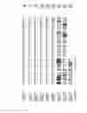 Fig. 03 - VEGF-LIKE FACTOR ANTIBODIES AND METHODS OF USE THEREOF
