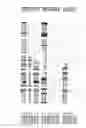 Fig. 06 - VEGF-LIKE FACTOR ANTIBODIES AND METHODS OF USE THEREOF
