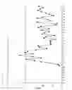 Fig. 08 - VEGF-LIKE FACTOR ANTIBODIES AND METHODS OF USE THEREOF