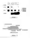 Fig. 02 - POLYNUCLEOTIDES AND POLYPEPTIDE SEQUENCES INVOLVED IN THE PROCESS OF BONE REMODELING