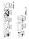 Fig. 04 - POLYNUCLEOTIDES AND POLYPEPTIDE SEQUENCES INVOLVED IN THE PROCESS OF BONE REMODELING