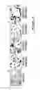 Fig. 06 - POLYNUCLEOTIDES AND POLYPEPTIDE SEQUENCES INVOLVED IN THE PROCESS OF BONE REMODELING