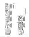 Fig. 08 - POLYNUCLEOTIDES AND POLYPEPTIDE SEQUENCES INVOLVED IN THE PROCESS OF BONE REMODELING