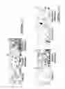 Fig. 09 - POLYNUCLEOTIDES AND POLYPEPTIDE SEQUENCES INVOLVED IN THE PROCESS OF BONE REMODELING