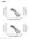 Fig. 05 - Antibody variants having modifications in the constant region