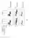 Fig. 02 - Antibodies to human GDF8