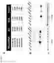 Fig. 02 - MICRO-RNAs THAT MODULATE SMOOTH MUSCLE PROLIFERATION AND DIFFERENTIATION