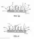 Fig. 17 - Immobilized biologically active entities having a high degree of biological activity