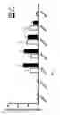 Fig. 02 - Compounds and methods for the treatment of inflammatory diseases of the CNS