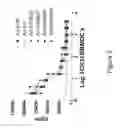 Fig. 06 - PRIMING OF AN IMMUNE RESPONSE