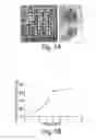 Fig. 07 - Methods and compositions for localized agent delivery