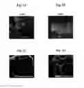 Fig. 02 - HYDROGEL SPONGES, METHODS OF PRODUCING THEM AND USES THEREOF