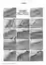Fig. 07 - Compositions Comprising Tea Tree Oil and Methods for the Prevention and Treatment of Cancer