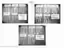 Fig. 02 - CORDIERITE COMPOSITIONS FOR IMPROVED EXTRUSION PROCESS QUALITY