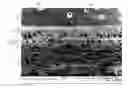 Fig. 01 - Multi-polymer grip member