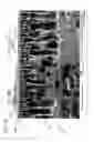 Fig. 08 - Multi-polymer grip member
