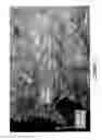 Fig. 02 - ADHESION WITH NANOCRYSTALLINE CELLULOSE