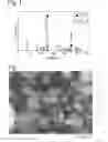 Fig. 02 - Coated, fine metal particles comprising titanium oxide and silicon oxide coating, and their production method