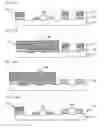 Fig. 08 - Photomask and methods for manufacturing and correcting photomask