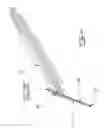 Fig. 15 - System and method for detection and removal of dental tartar