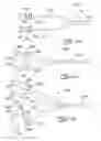 Fig. 20 - System and method for detection and removal of dental tartar